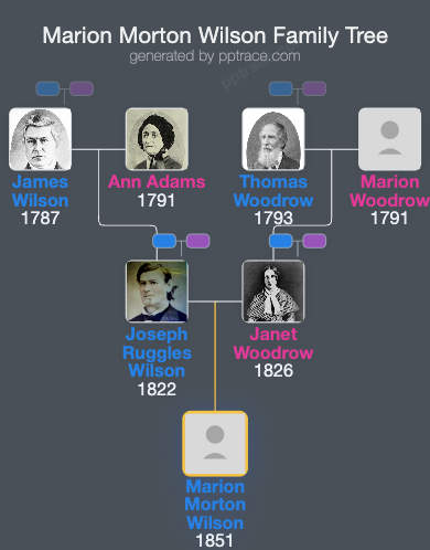 Marion Morton Wilson family tree overview