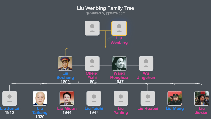 Liu Wenbing family tree overview