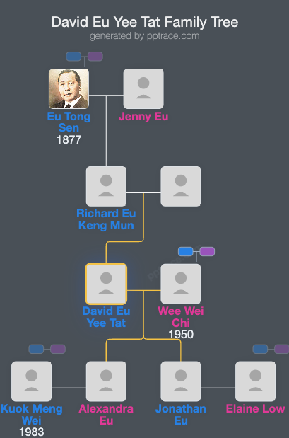 David Eu Yee Tat family tree overview