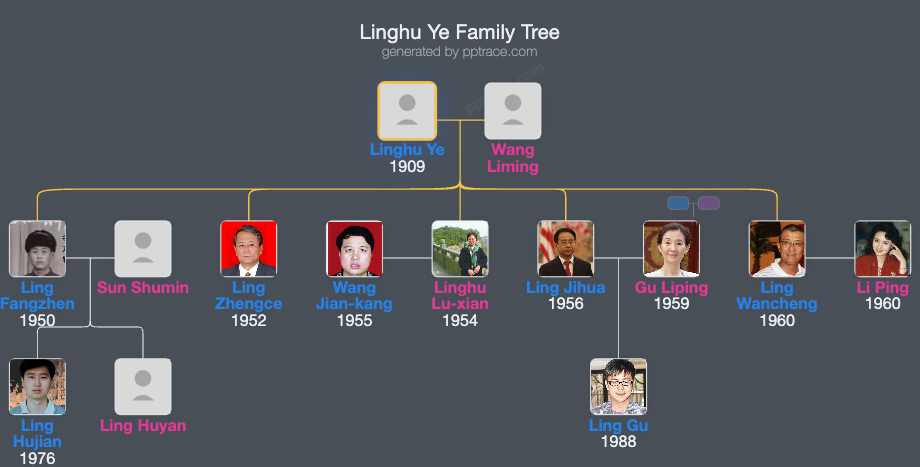Linghu Ye family tree overview