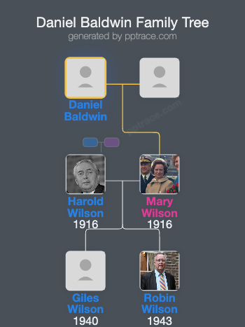 Daniel Baldwin family tree overview