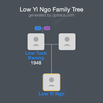 Low Yi Ngo family tree overview