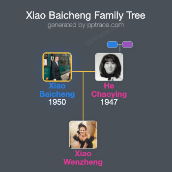 Xiao Baicheng family tree overview