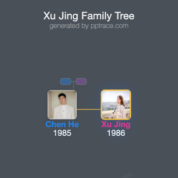 Xu Jing family tree overview