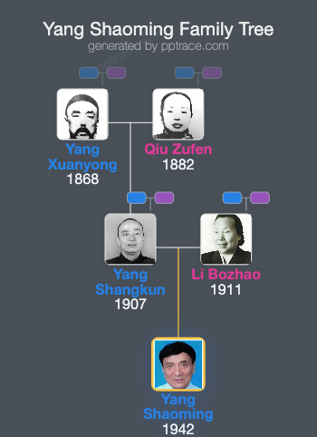 Yang Shaoming family tree overview