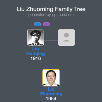Liu Zhuoming family tree overview