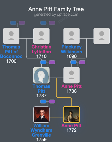 Anne Pitt family tree overview