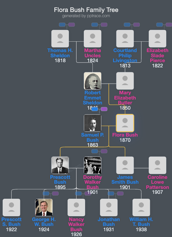 Flora Bush family tree overview