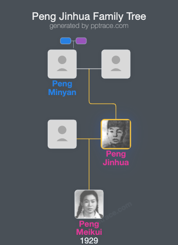 Peng Jinhua family tree overview