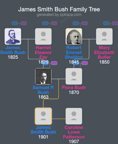 James Smith Bush family tree overview
