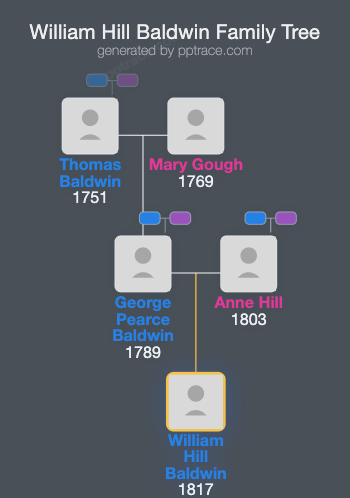 William Hill Baldwin family tree overview