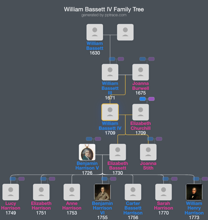 William Bassett IV family tree overview