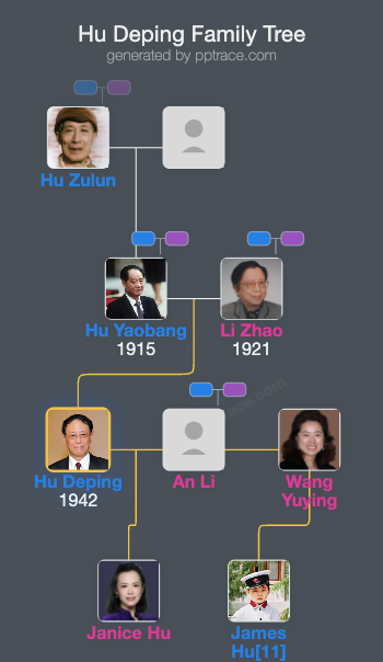 Hu Deping family tree overview