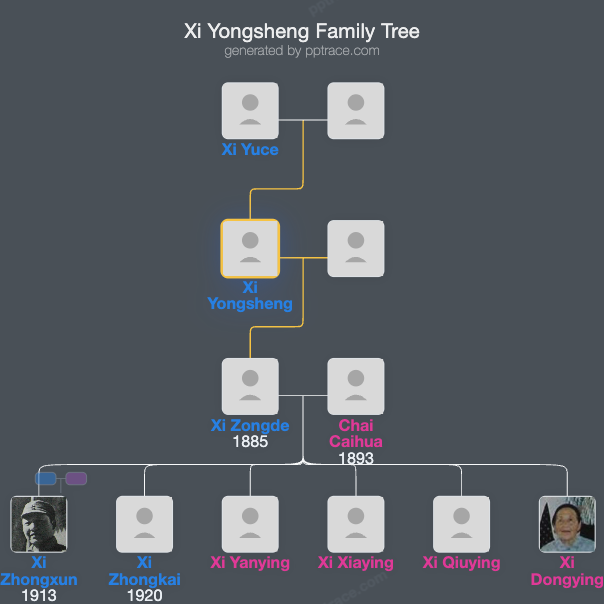 Xi Yongsheng family tree overview