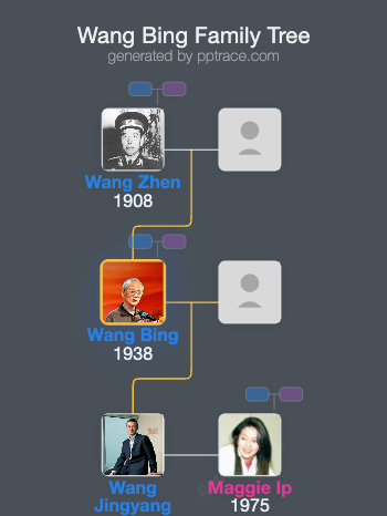 Wang Bing family tree overview