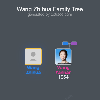 Wang Zhihua family tree overview