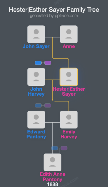 Hester|Esther Sayer family tree overview
