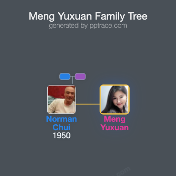 Meng Yuxuan family tree overview