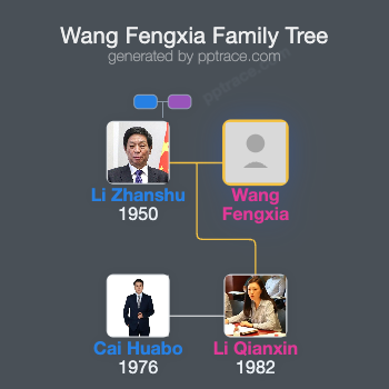 Wang Fengxia family tree overview