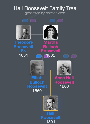 Hall Roosevelt family tree overview