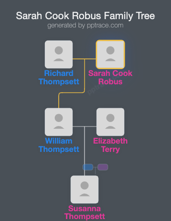 Sarah Cook Robus family tree overview