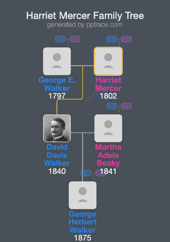 Harriet Mercer family tree overview