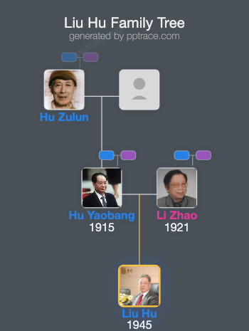 Liu Hu family tree overview