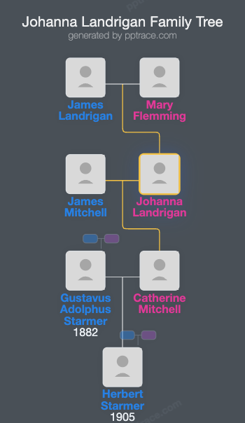 Johanna Landrigan family tree overview