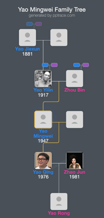 Yao Mingwei family tree overview