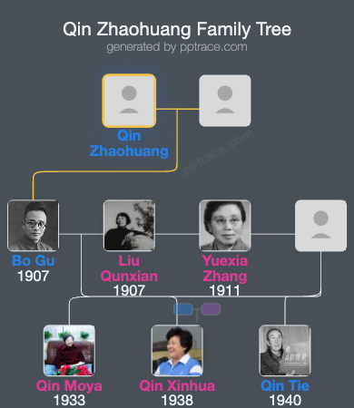 Qin Zhaohuang family tree overview