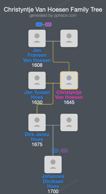 Christyntje Van Hoesen family tree overview