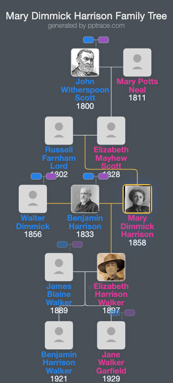 Mary Dimmick Harrison family tree overview