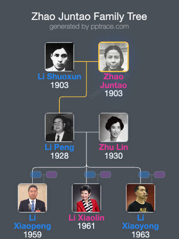 Zhao Juntao family tree overview