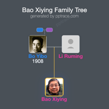 Bao Xiying family tree overview