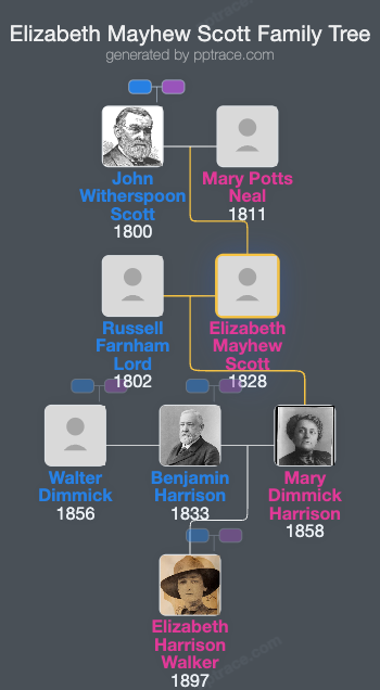 Elizabeth Mayhew Scott family tree overview