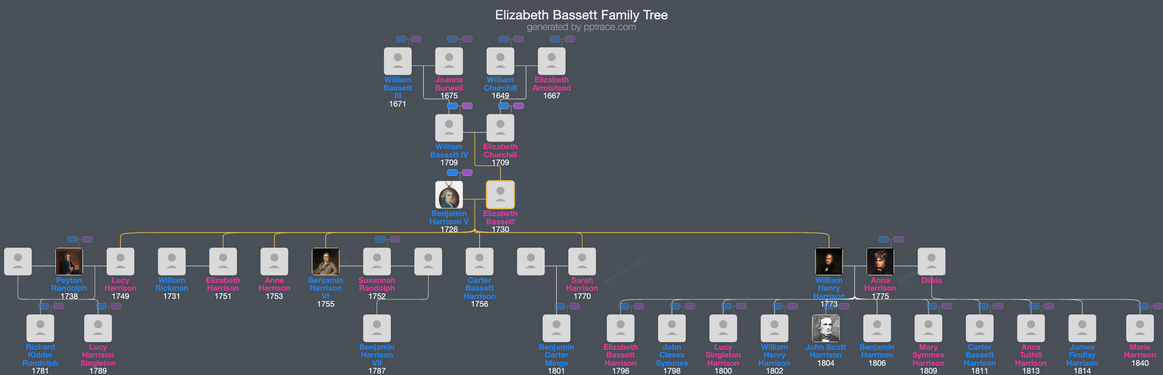 Elizabeth Bassett family tree overview