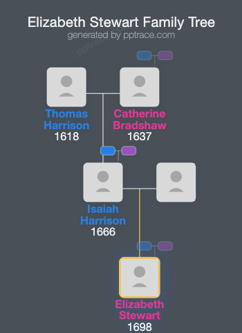 Elizabeth Stewart family tree overview