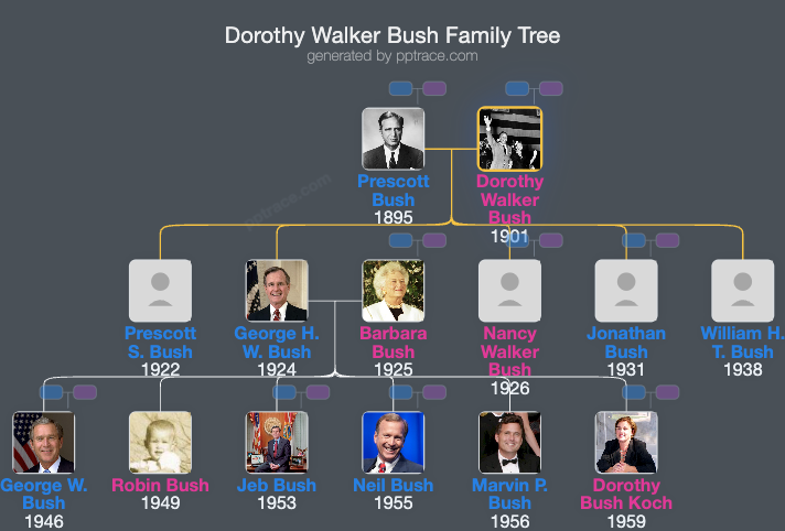 Dorothy Walker Bush family tree overview