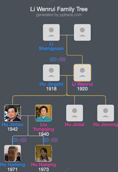 Li Wenrui family tree overview