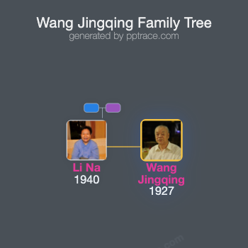 Wang Jingqing family tree overview