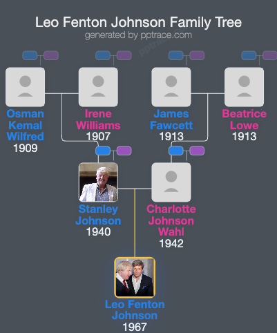 Leo Fenton Johnson family tree overview