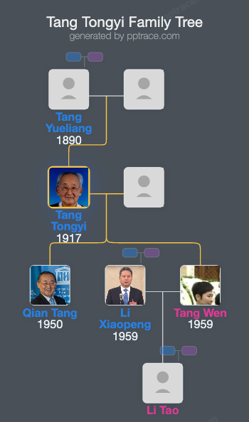 Tang Tongyi family tree overview
