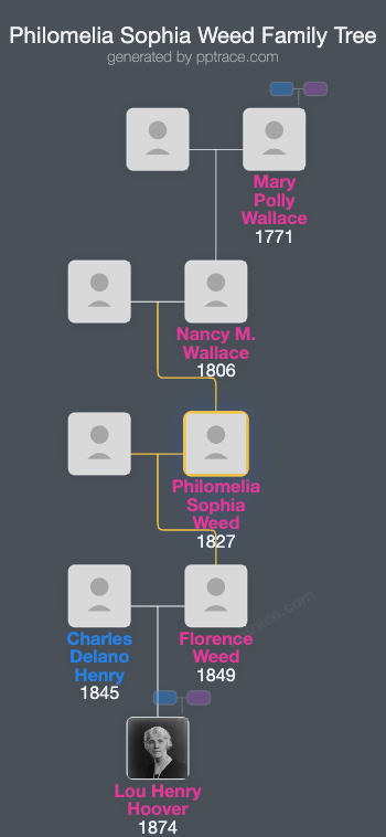 Philomelia Sophia Weed family tree overview