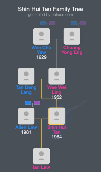 Shin Hui Tan family tree overview