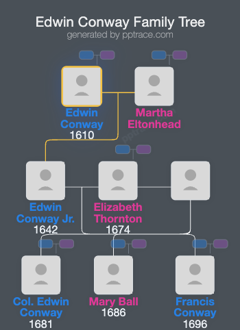 Edwin Conway family tree overview