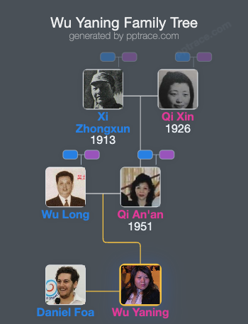 Wu Yaning family tree overview