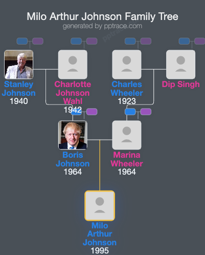 Milo Arthur Johnson family tree overview