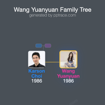 Wang Yuanyuan family tree overview