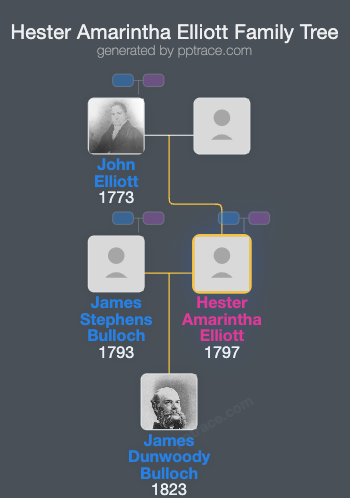 Hester Amarintha Elliott family tree overview