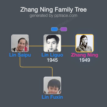 Zhang Ning family tree overview